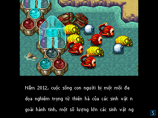 Hình Ảnh